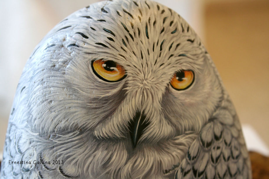 Gufo dipinto su sasso, painted stone
