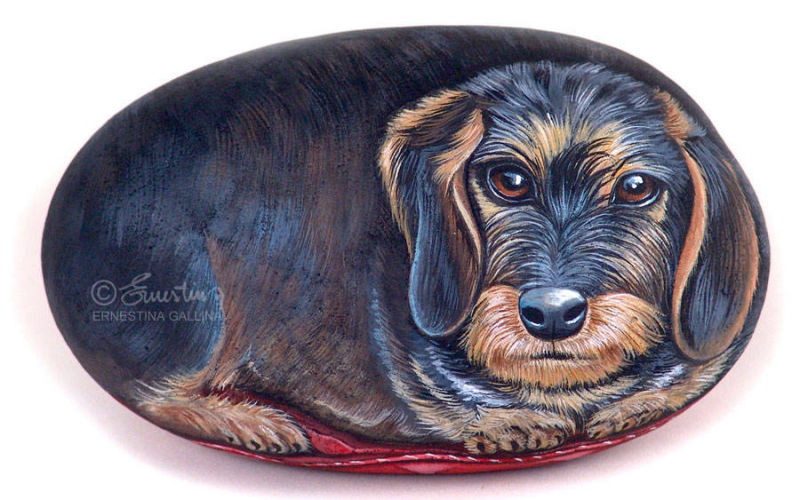 Cagnolino pittura su sasso