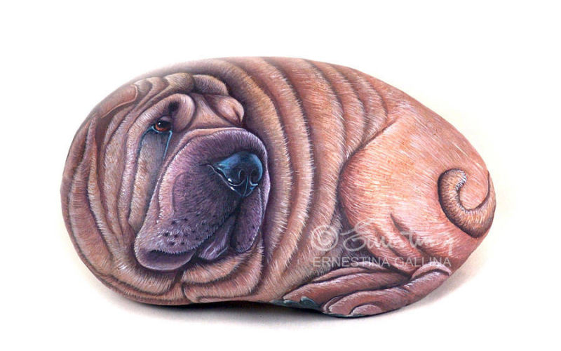 Cane Shar-pei dipinto su sasso
