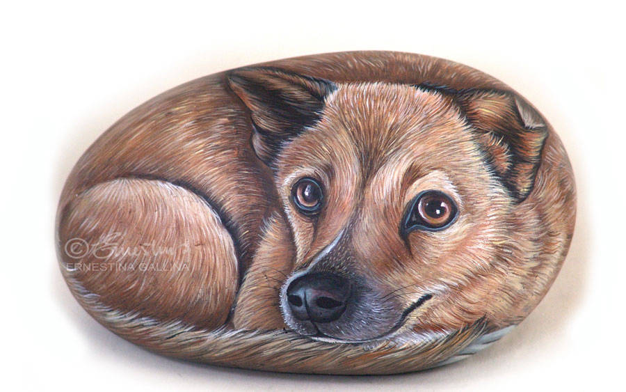 Cagnolino dipinto su sasso