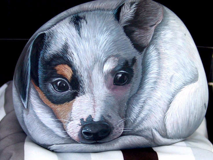 Cane dipinto su sasso,painted stone
