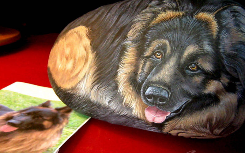 cane lupo sasso dipinto