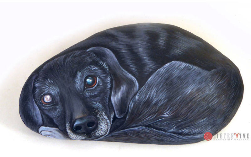 Cane ritratto su sasso