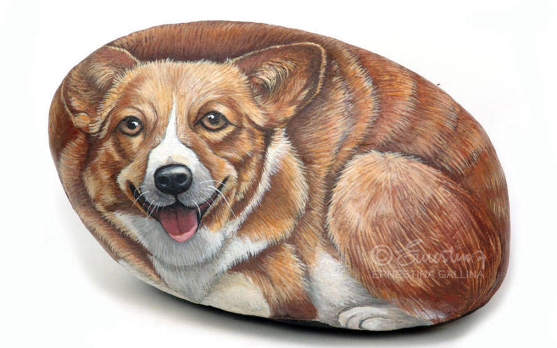 Sasso dipinto Welsh Corgi