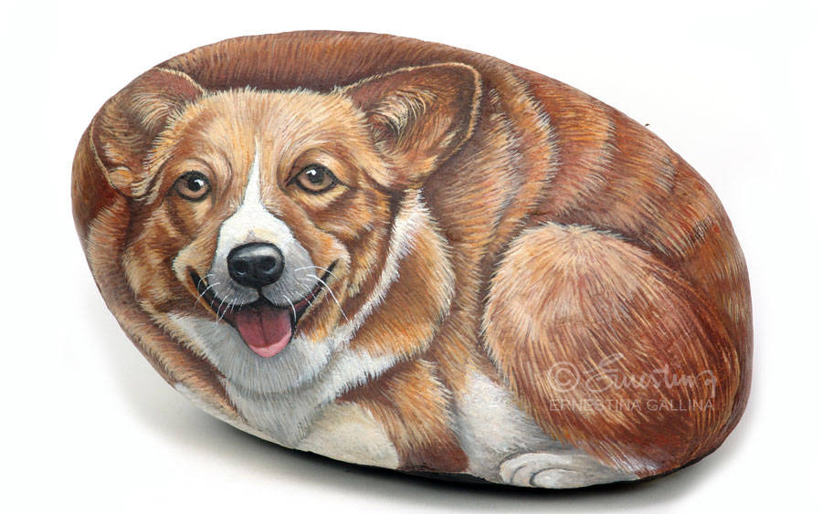 Sasso dipinto Welsh Corgi