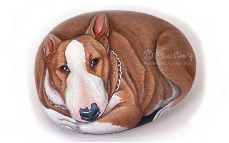 Bull terrier sasso cane dipinto
