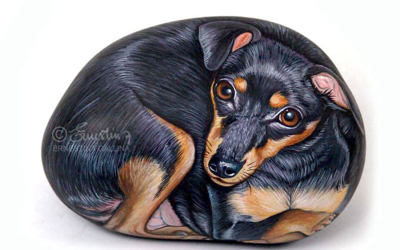 Miniature Pinscher sasso dipinto