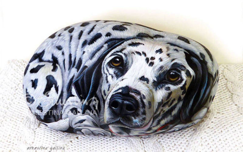 Cane dalmata dipinto su sasso