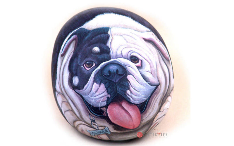 Bull dog dipinto su sasso grande