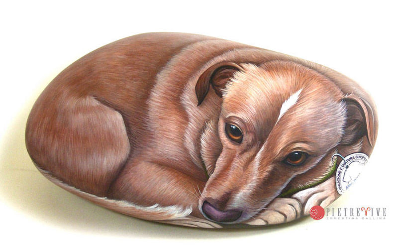 Ritratto dipinto su sasso cane