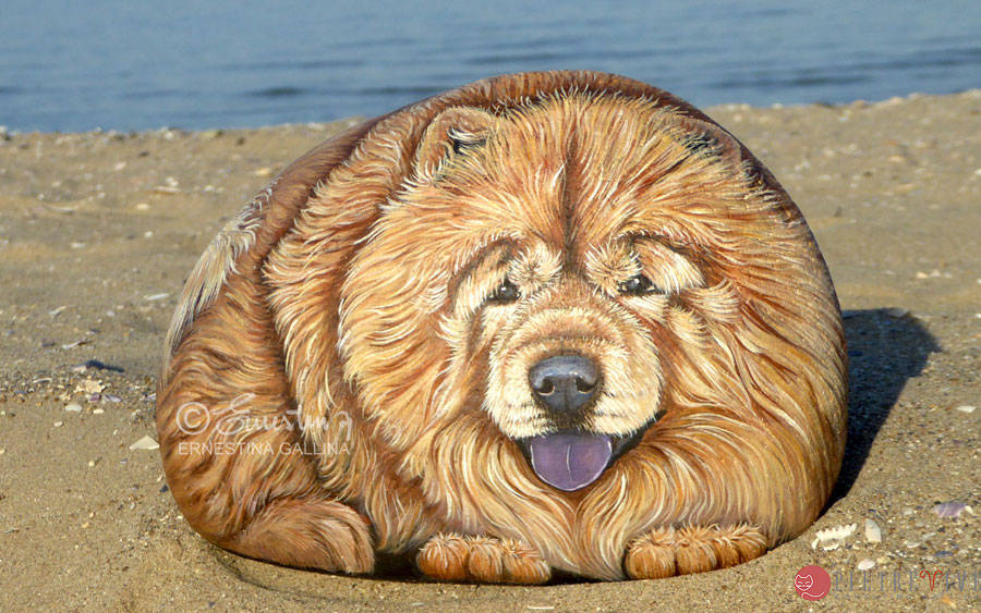 Ritratto su sasso di cane Chow Chow