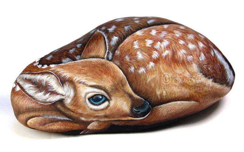 Cerbiatto pietra dipinta grande