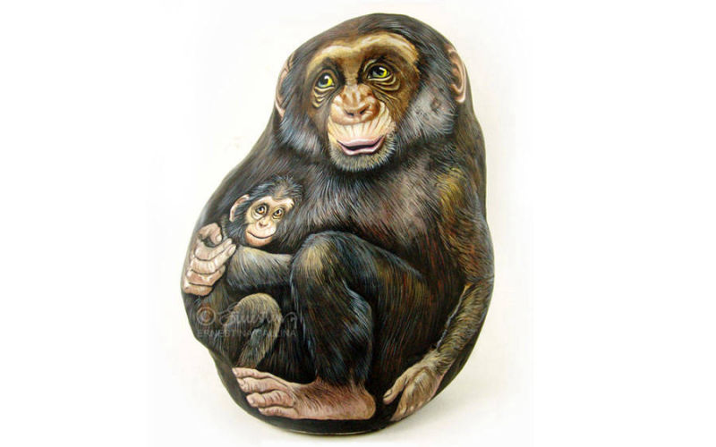 Mamma scimpanzè sasso dipinto grandi dimesioni