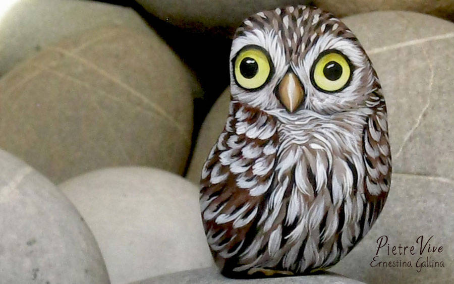 civettina rock painting, stone painting art