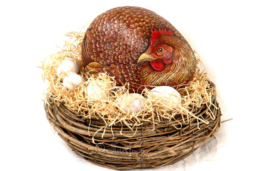 Gallina rossa su pietra