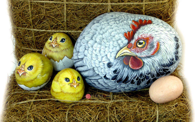 Chioccia bianca con pulcini rock painting art