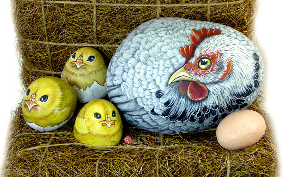 Chioccia bianca con pulcini rock painting art