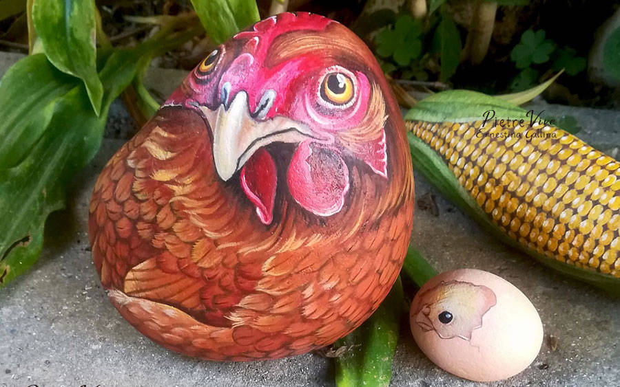 Gallina rossa sasso dipinto
