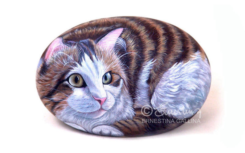 Ritratto di gatto su sasso