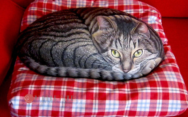 Gattone tigrato, ritratto su sasso
