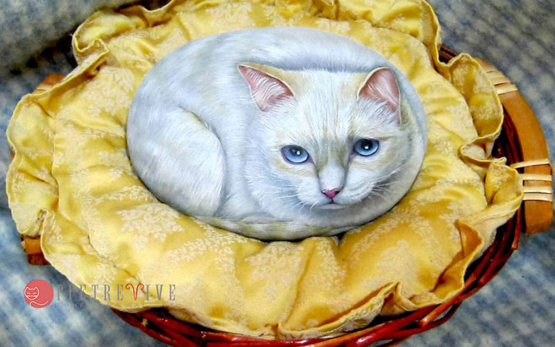 Gatto bianco dipinto su sasso