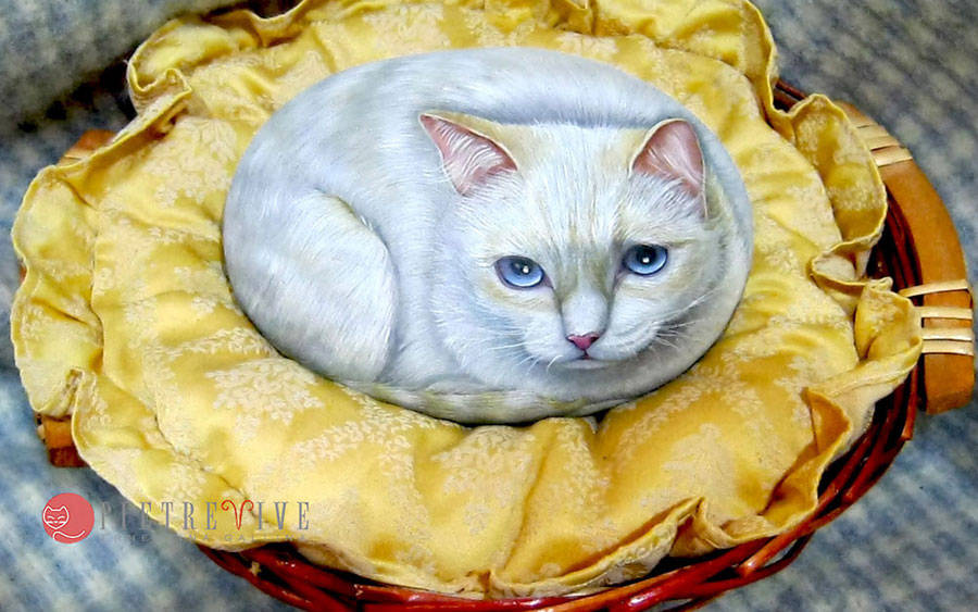 Gatto bianco dipinto su sasso