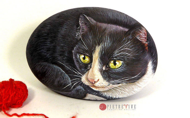 Gatto dipinto su pietra,Rock art