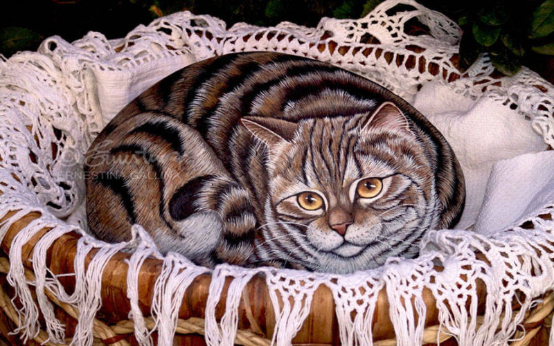 Gatto dipinto su sasso