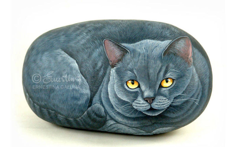 Gatto grigio didinto su sasso
