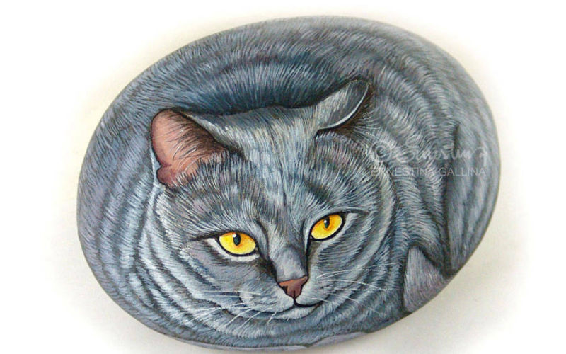 Gatto certosino dipinto su sasso naturale