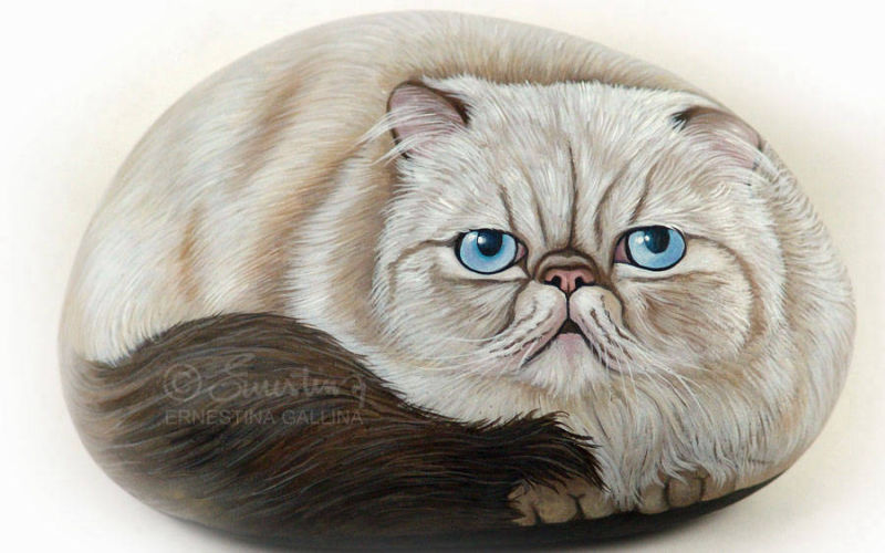 Gatto persiano seal dipinto su sasso