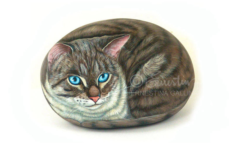 Gattino dipinto, rock painting art