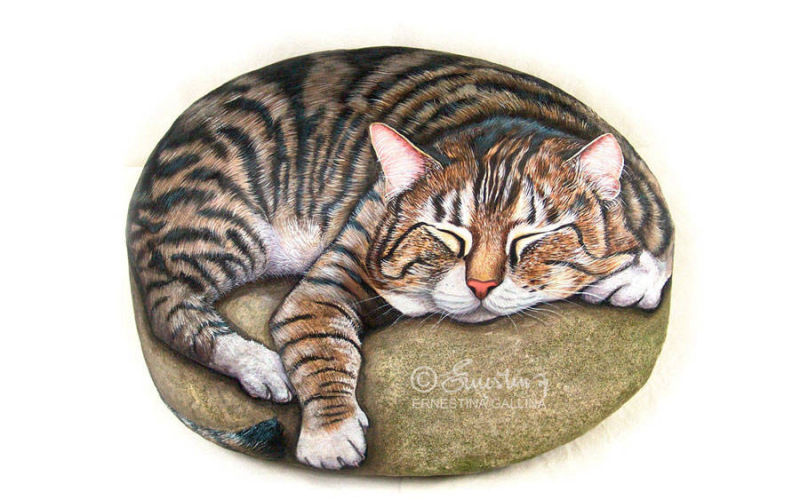 Gatto addormentato su una grossa pietra