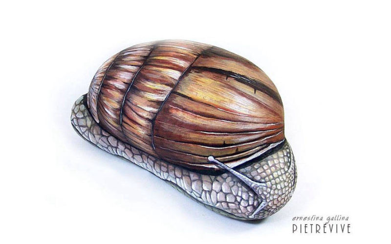 Chiocciola gigante