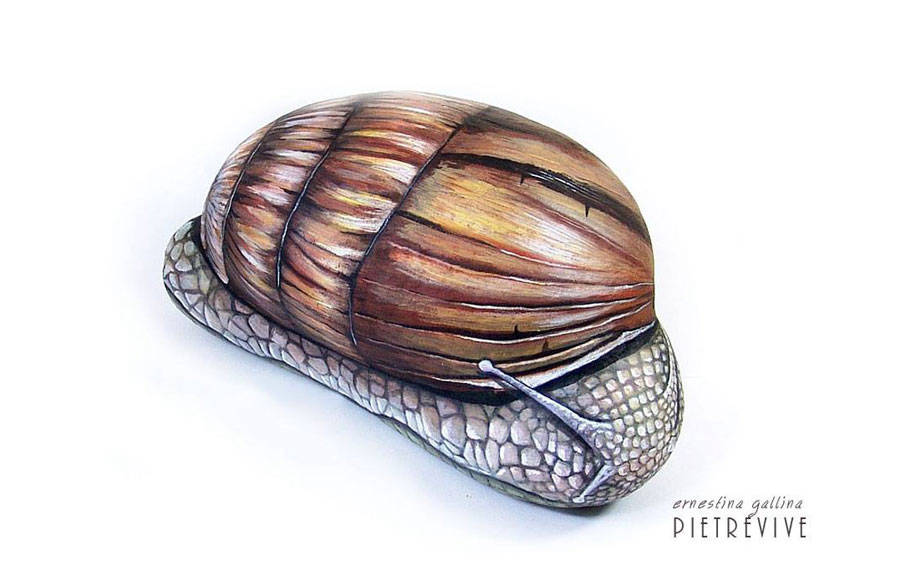 Chiocciola gigante