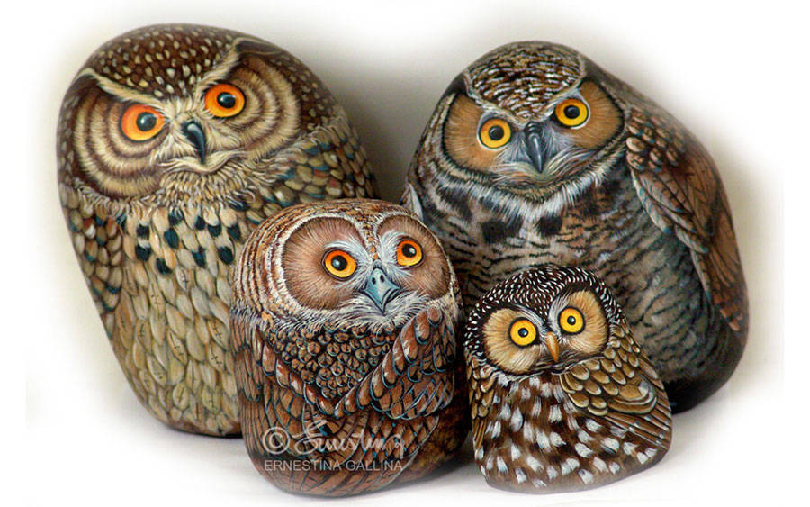 gufo, owl, rock painting art