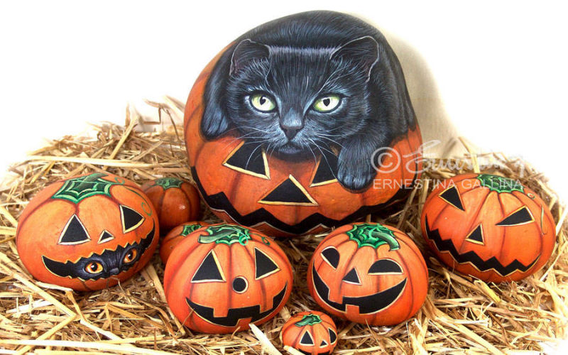 Zucche e gatto nero