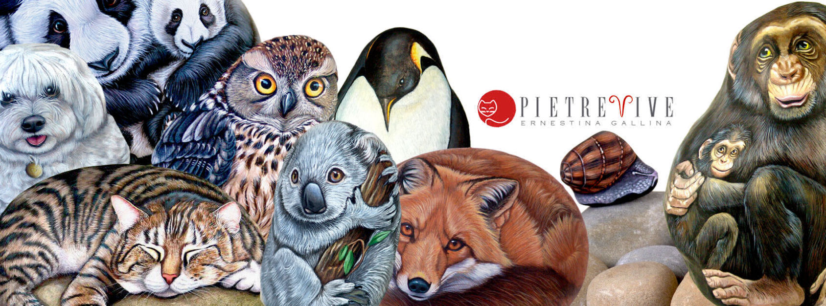 Pietrevive pittura sui sassi arte creativita pietre