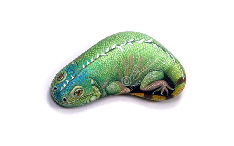 Iguana dipinta su un sasso di mare