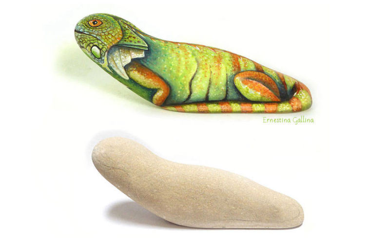 Iguana sasso dipinto