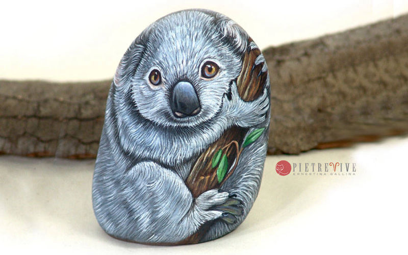 Koala dipinto sasso tridimensionale