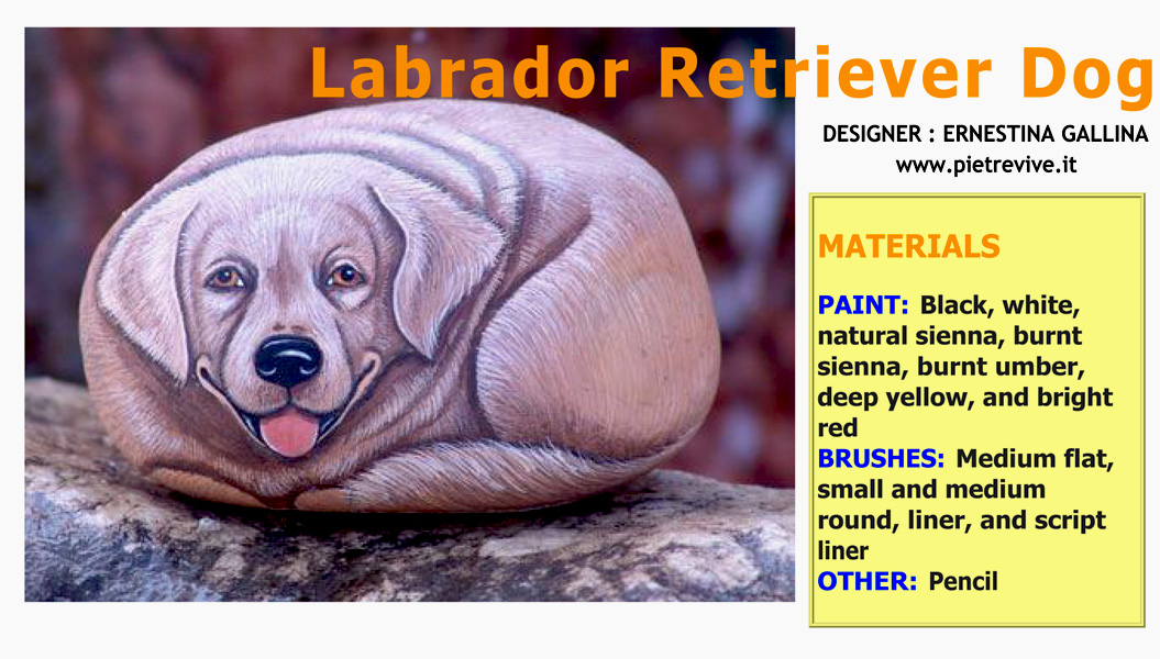 Come dipingere un labrador su sasso