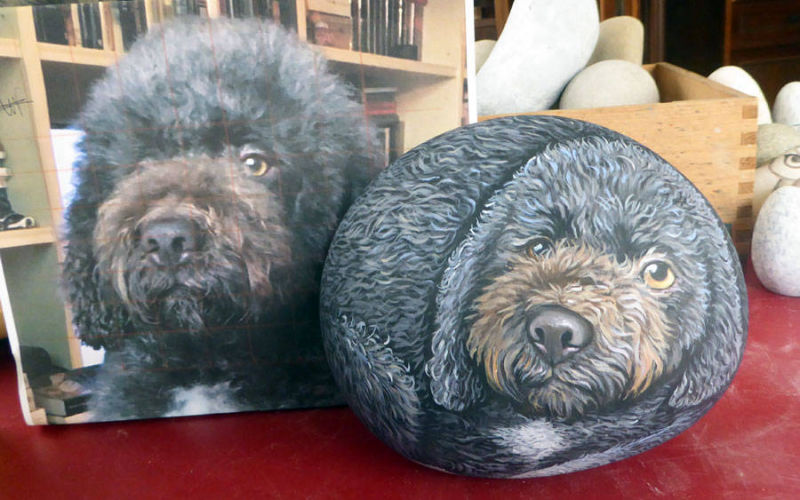 ritratto su sasso di cane Lagotto