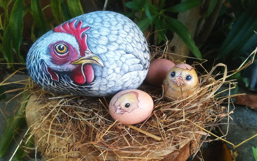 Gallina bianca con pulcini -pittura pietre naturali