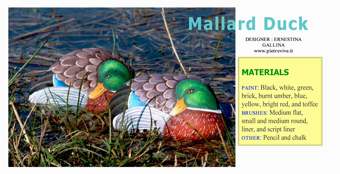 How to paint a mallard duck on stone/come dipingere un anatra