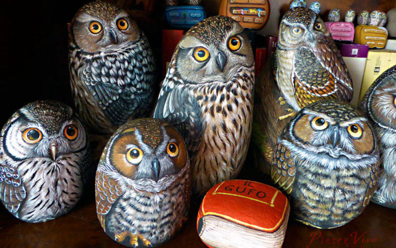Owls- Gufi sui sassi -Pietre vive