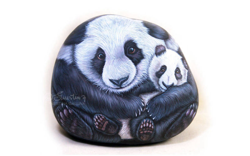 Mamma panda grande sasso dipinto