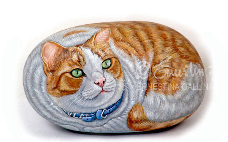 Ritratto su sasso di gatto