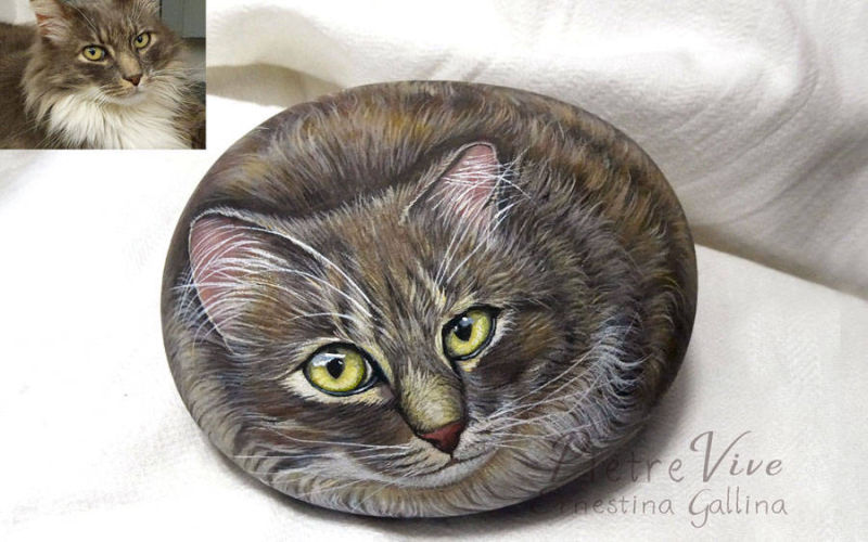 ritratto di Zeus gatto norvegese dipinto su sasso