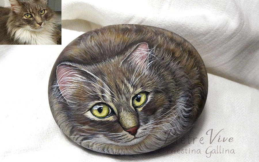 ritratto di Zeus gatto norvegese dipinto su sasso